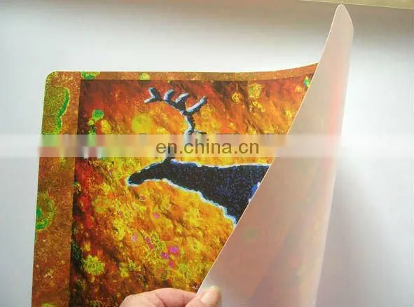 plastic pp table plate mat