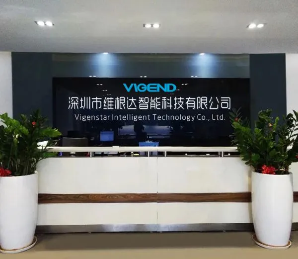 Vigenstar Intelligent Technology Co., Ltd. company overview - view 1
