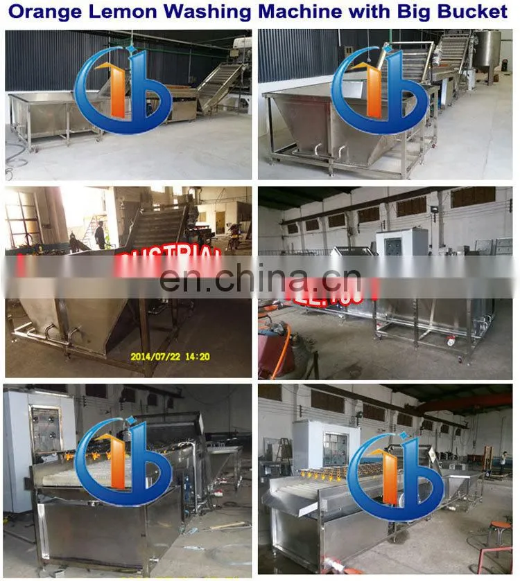 industrial fruit and vegetable washing equipment,pear/peach/strawberry/date/grape/blackberry/lemon bubble washing machine