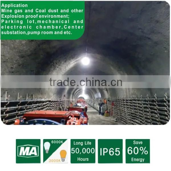 ATEX CE ROHS approved IP6 Explosion Proof LED for Gas station Explosion Proof LED Flood Lighting