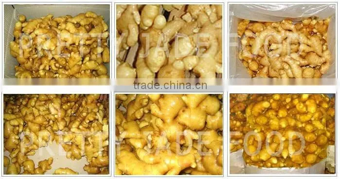 China fresh wet skin ginger export