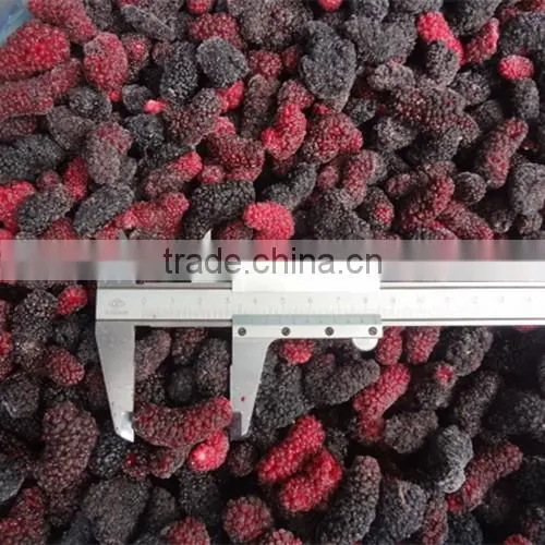 Frozen style fresh Chinese mulberry