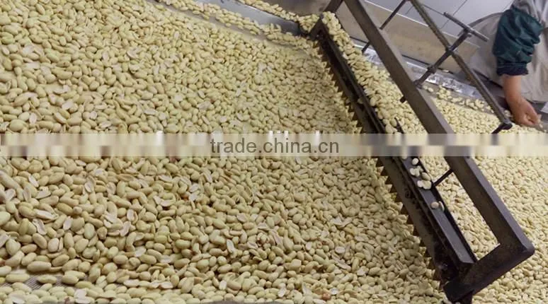 best selling products remove peanut skin raw peanuts without shell blanched peanut