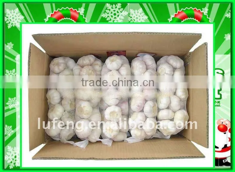 Chinese fresh Garlic