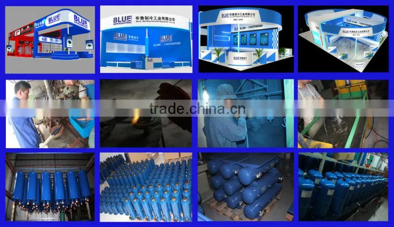 BLUE REFRIGERATION DML FS Automobile Air Condtion Filter Drier