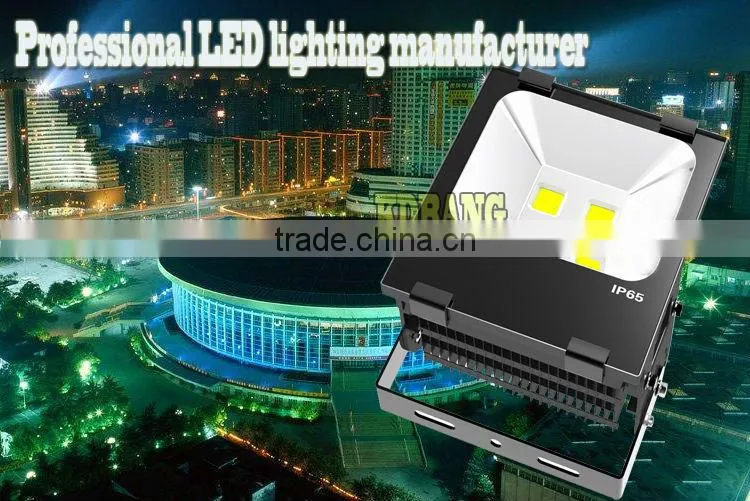 Alibaba factory 100w high quality outdoor led waterproof light