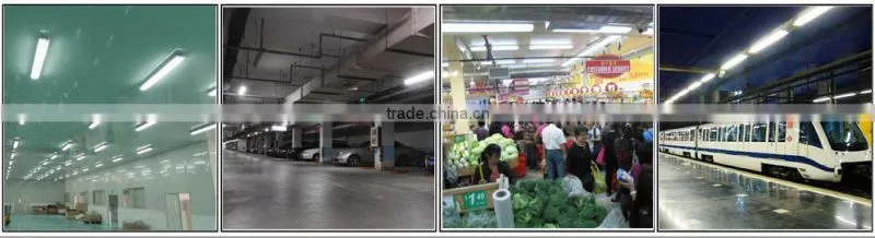 Waterproof Waterproof Tri-proof LED Light for Food factory
