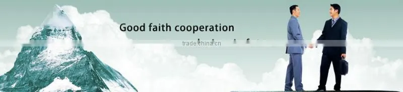 Belt conveyor manufacture with good quality and competive price