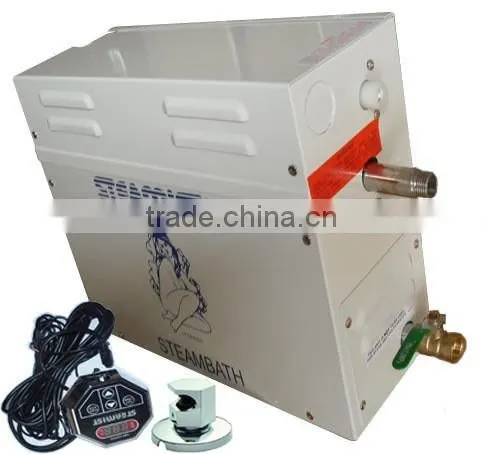 Home use wet steam factory produce OEM accepted mini steam generator
