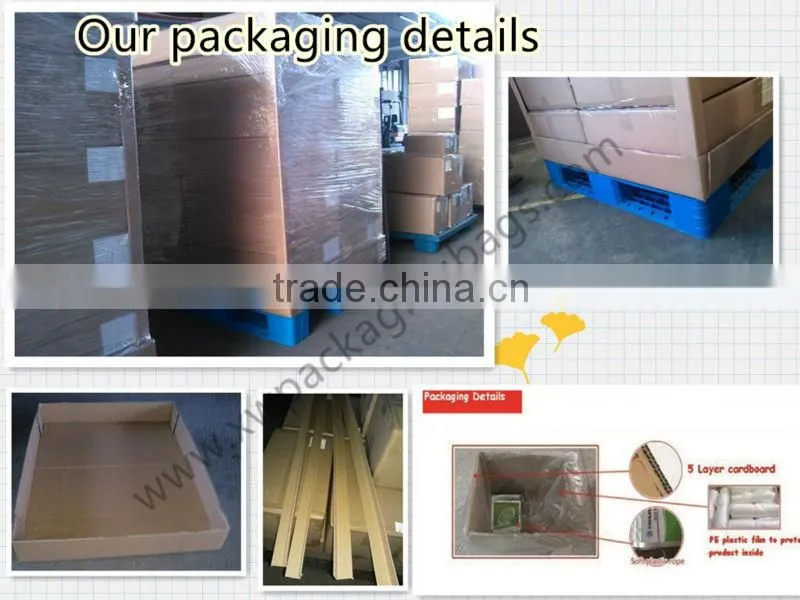 biodegradable bag for liquid