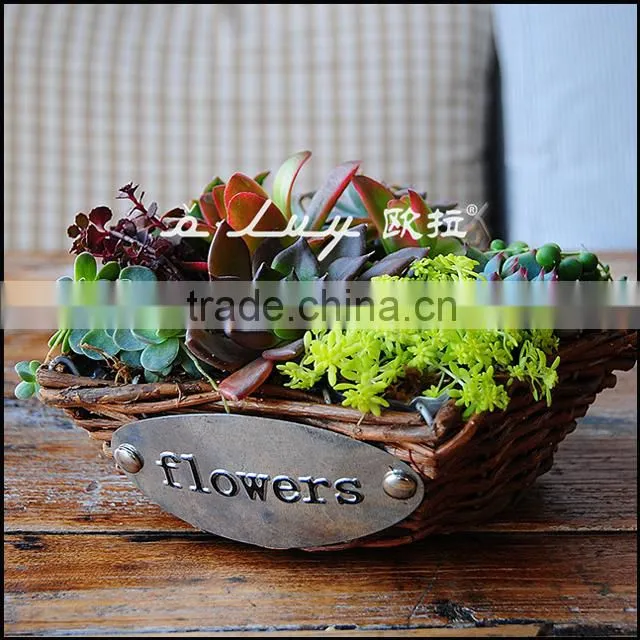 star shape unpeeled willow basket set