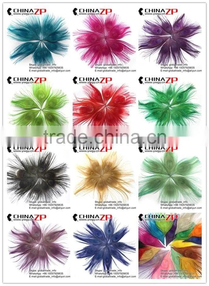 CHINAZP Wholeasale Top Selling Special Colors Dyed Turquoise Trimmed Short Peacock Feathers for Girls