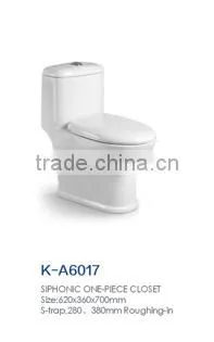 bathroom sanitary ware siphonic one piece wc spy toilet cam
