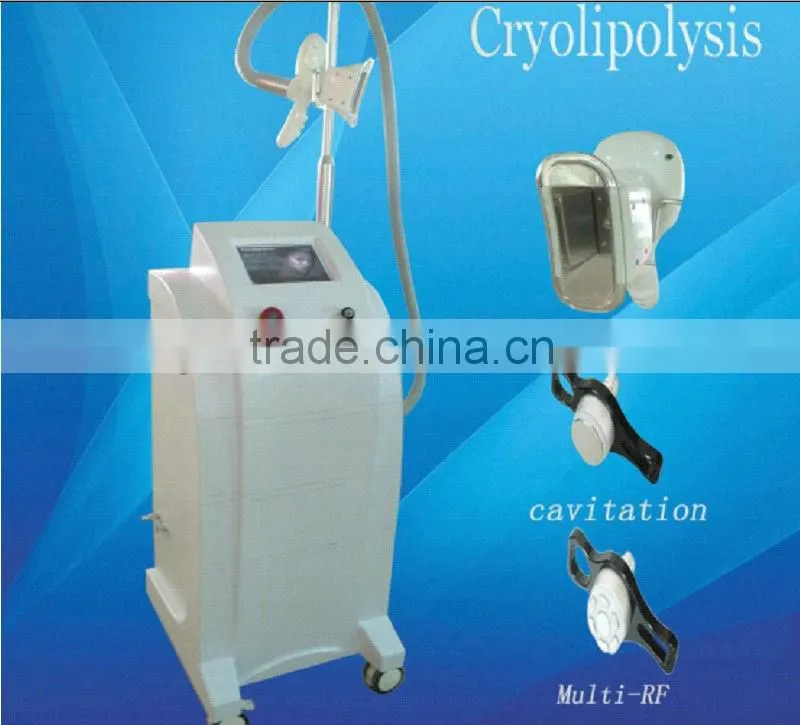 Vertical Cryolipolysis machine therapy venus cryolipolysis fat freezing machine