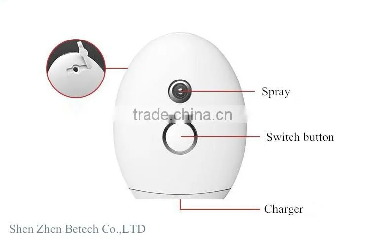 betech factory OEM steam facial machine Japan