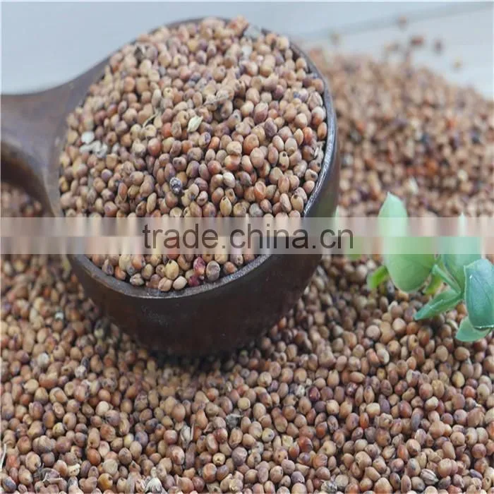 Natural Glutinous Red Sorghum price