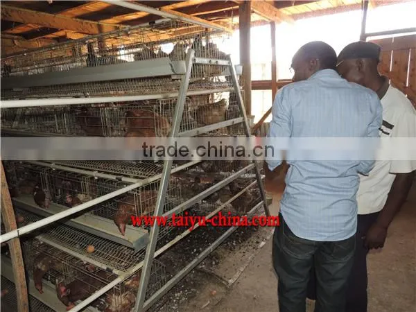 Poultry farming cages in kenya