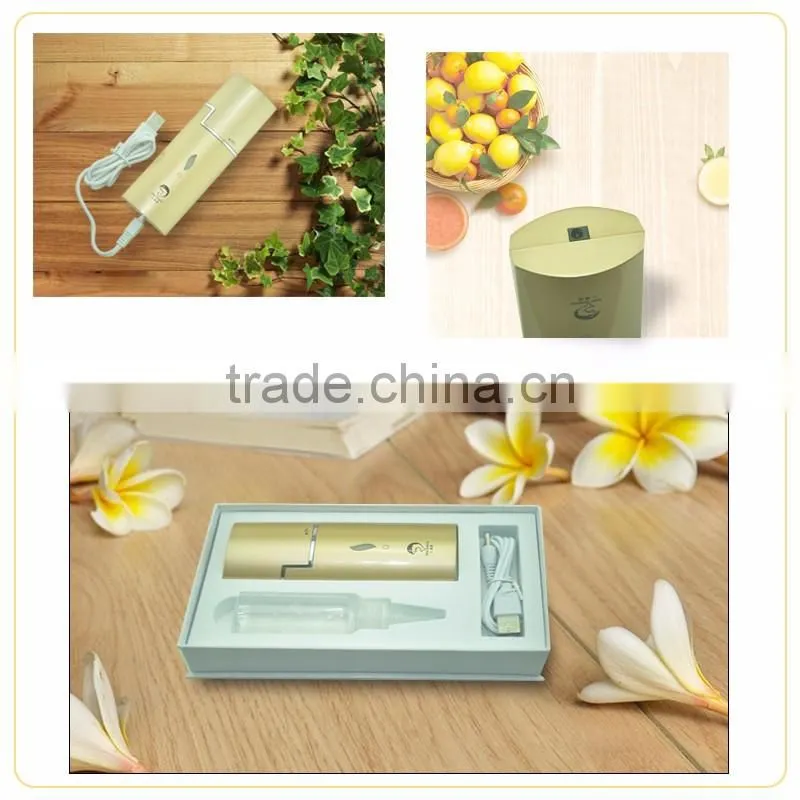 Portable Electric Hydro Spa Nano Mist Spray Facial Steamer