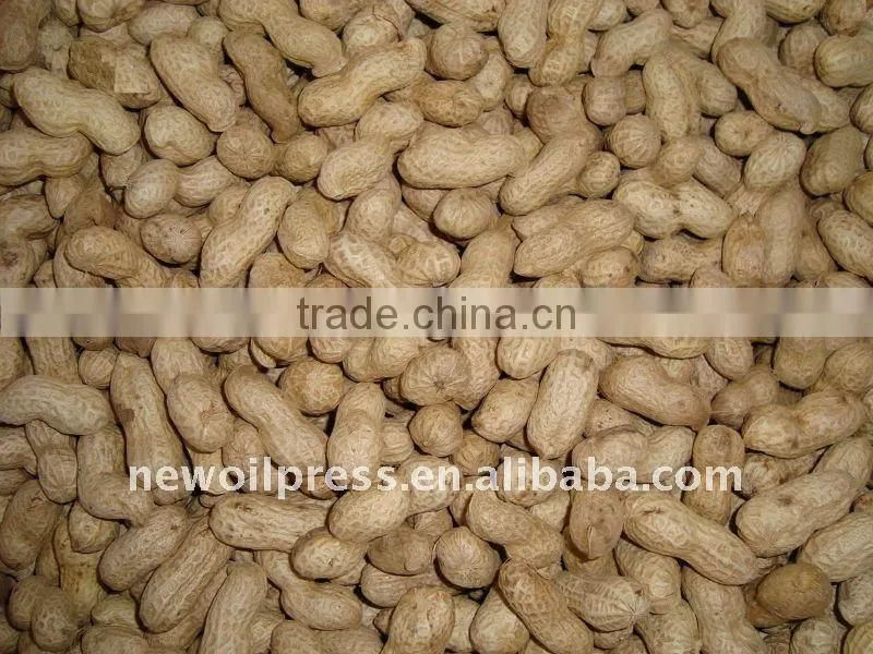 easy operation and low investment small peanuts sheller