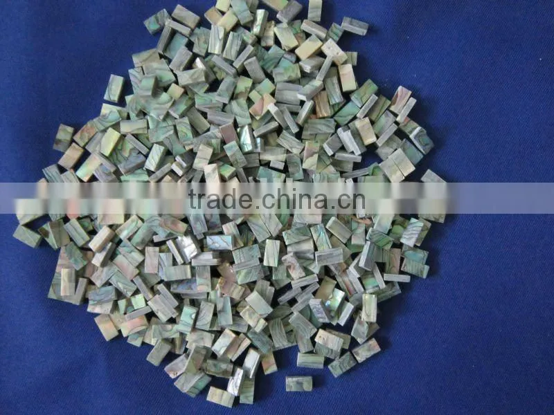 square cut thick abalone paua shell blank inlays