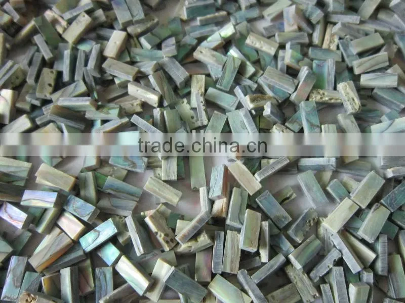 square cut thick abalone paua shell blank inlays