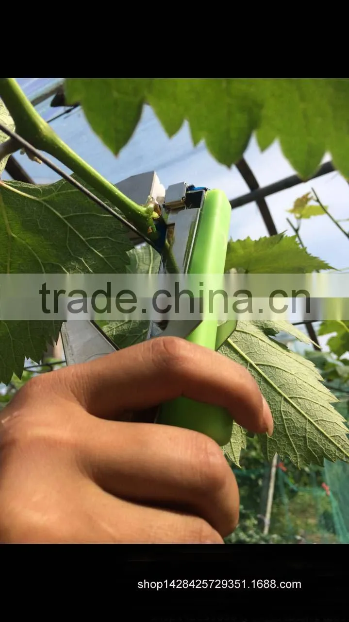 no scrap tape bander ,hand tying machine,wire galvanized, Wireless Vineyard, Vineyard