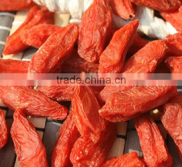 wolfberry fruit, lycium fruit, goji berries,big size