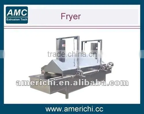 Continuous fryer