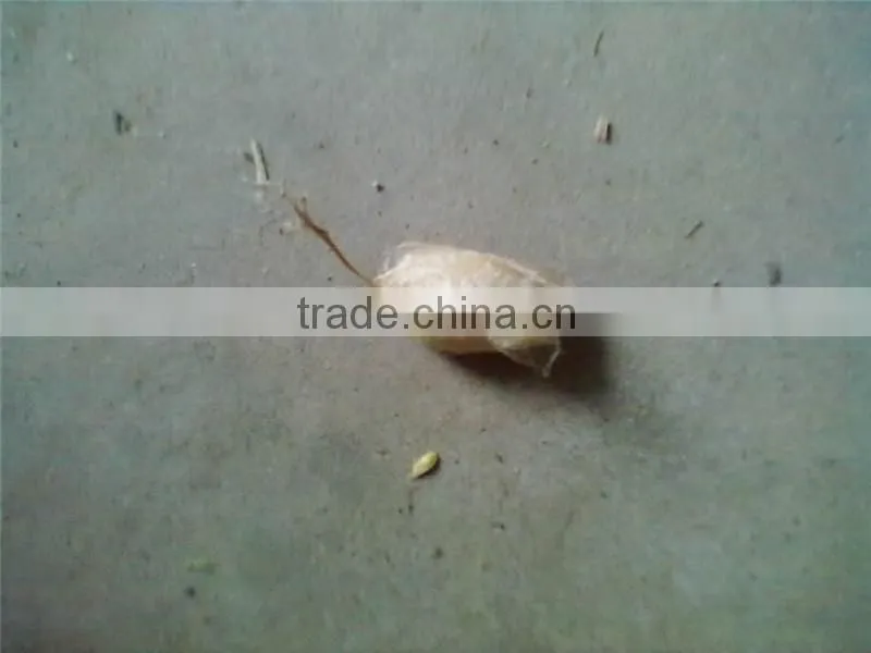 Good quality new arrival high density hand knotted pure handmade Chinese silk carpet