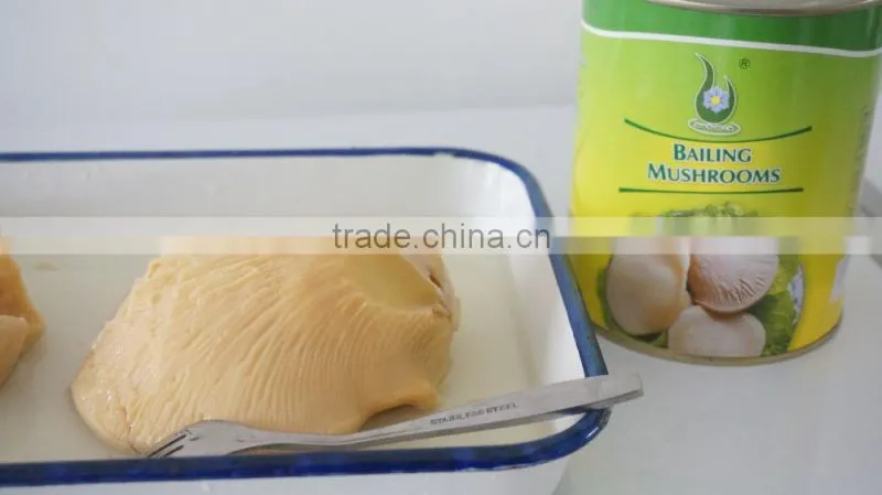 China New Cultivated Canned Bailing Mushroom Whole