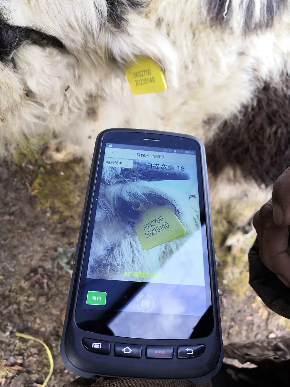 handheld reader 2.jpg.webp