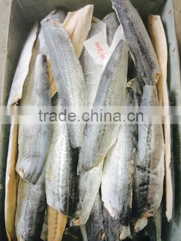 frozen spanish mackerel fillets