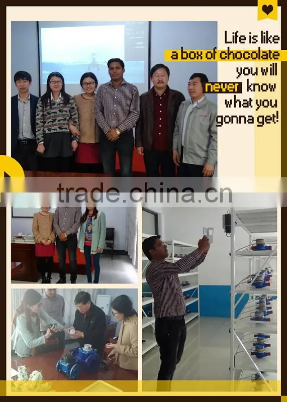 Low cost water meter in ABS material Plastic water meter