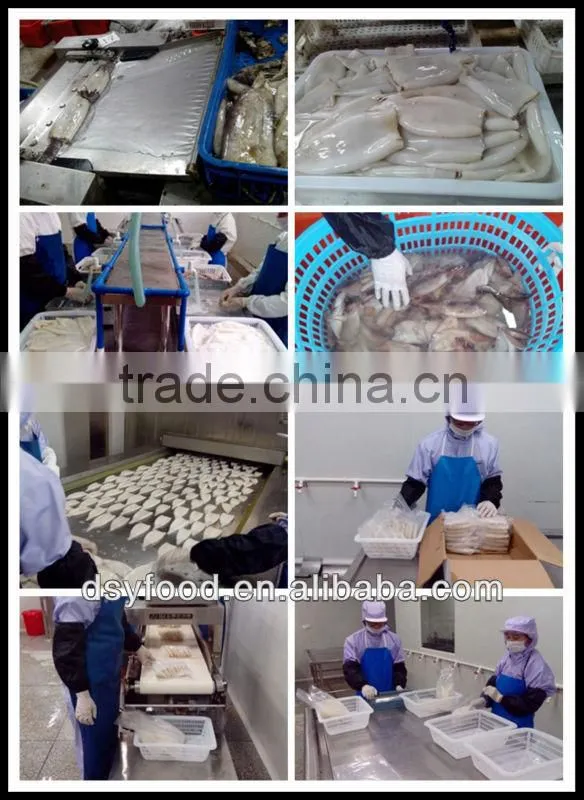 Frozen Fresh Red Tilapia Fish WR
