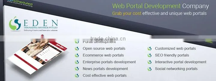 portal website development