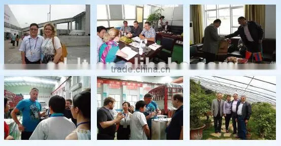 CE, ISO Certificate Vertical Type Air Handling Unit For Central Air Conditioning (7-60KW Cooling Capacity )