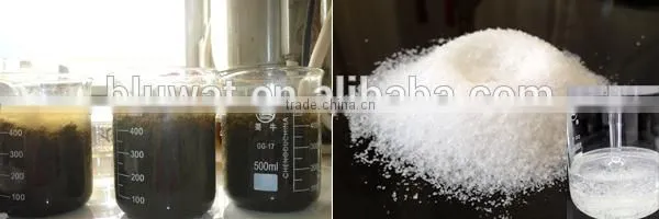 Blufloc Polyacrylamide PAM for Petroleum Adhesive
