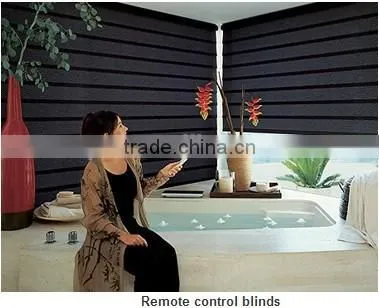hot sale wireless fantastic dc tubular motor window blinds