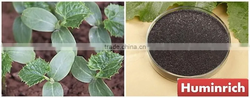 Huminrich Enhances Soil Fertility 55HA+12%K2O Potassium Humate Fertilizer For Greenhouse