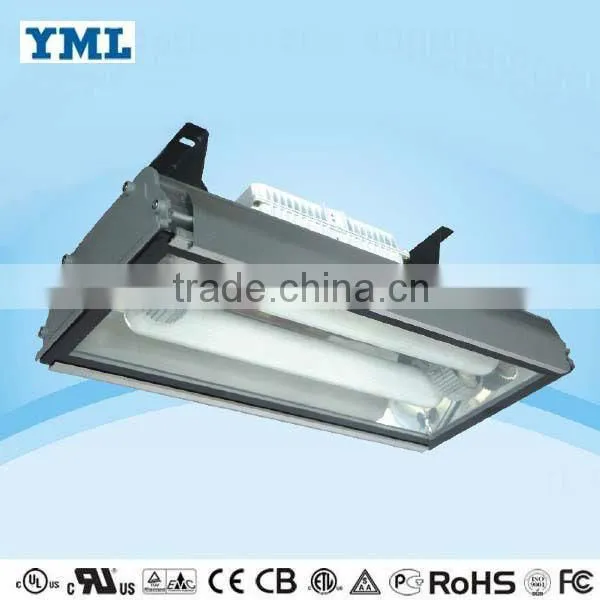 specical spectrum 600w induction grow light