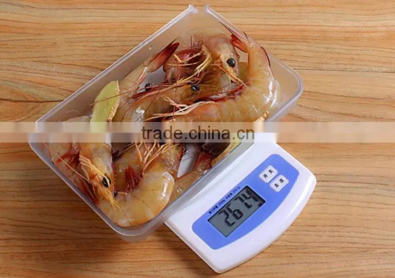 Brushed Stainless Steel Digital Electronic Kitchen Household Scale 500g 0.01g