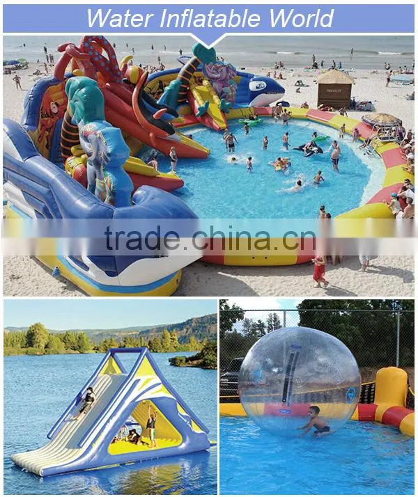 Bouncer Super Winter House with roof