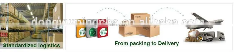 GMP factory supplys green tea powder EGCG antioxidant products instant powder