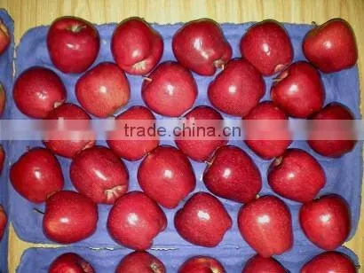 washington red apples 2015