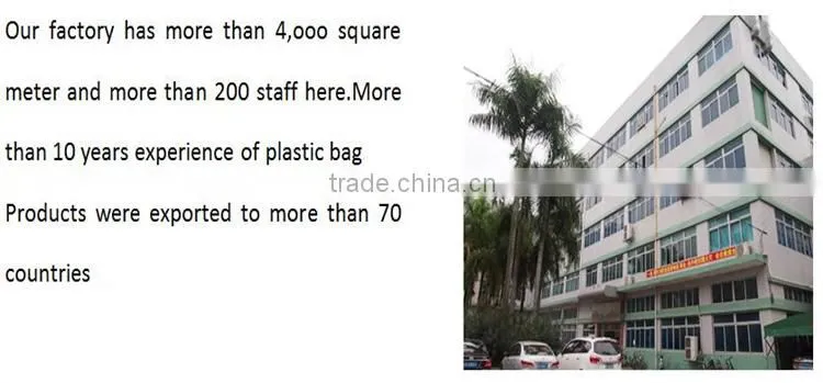 Alibaba China hot plastic heat seal bag with zipper/three sides zip lock sealed pouch