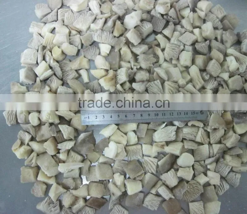 Offer very good quality Oyster Mushroom in reasonable price