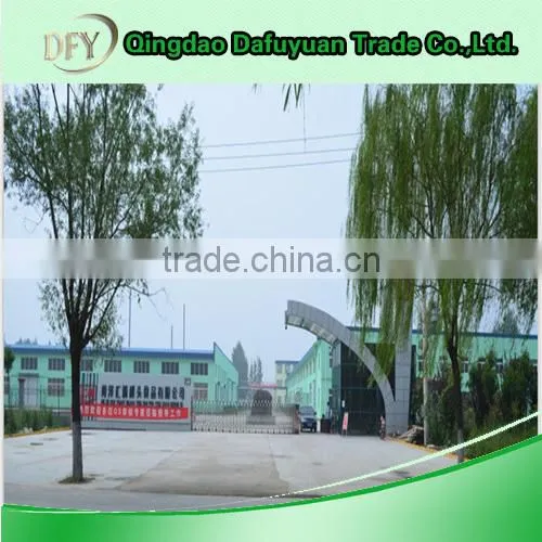 China High quality Canned Pickled Cucumber