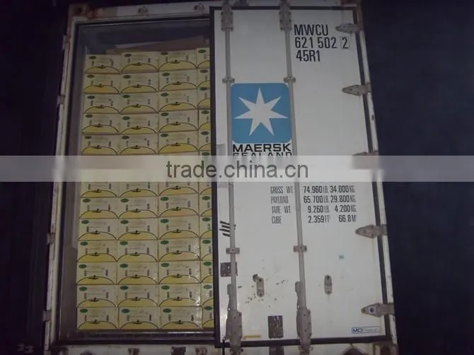 new crop China fresh golden pear for sale