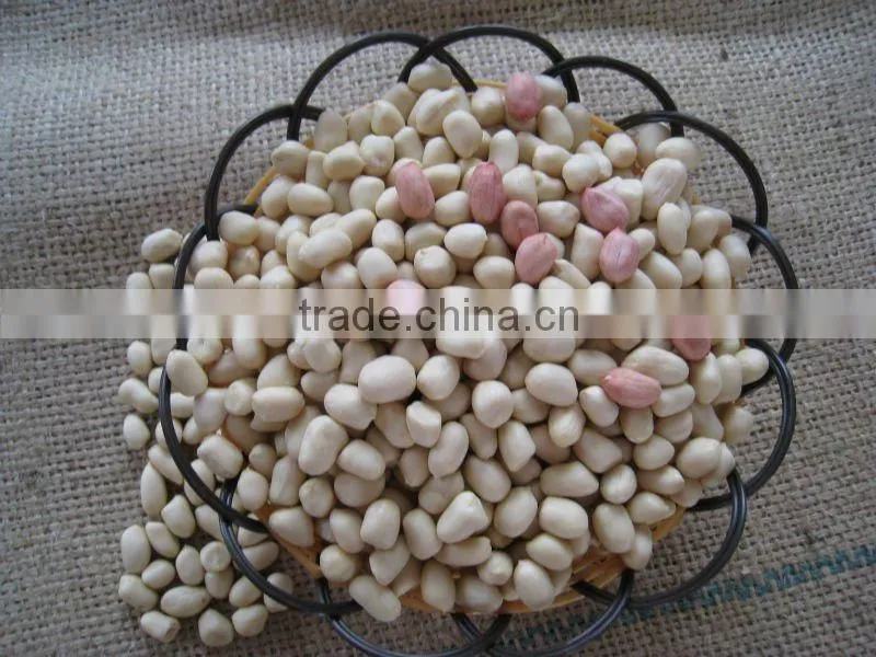 Chinese shandong new crop raw peanut kernels