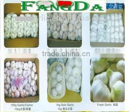 normal/pure white garlic in bulk